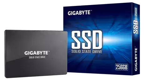 Gigabyte 256GB GP-GSTFS31256GTND diskas