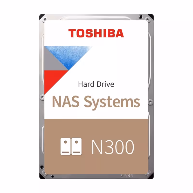 Toshiba 10TB N300 NAS diskas