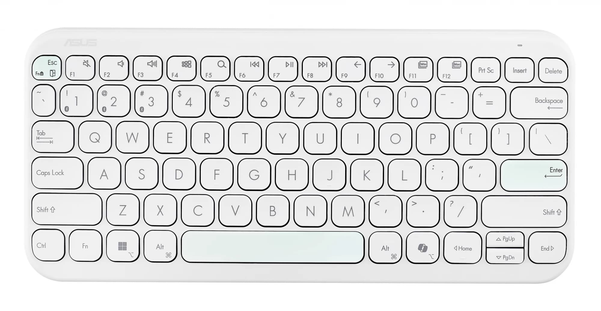 ASUS Marshmallow KW100 US International