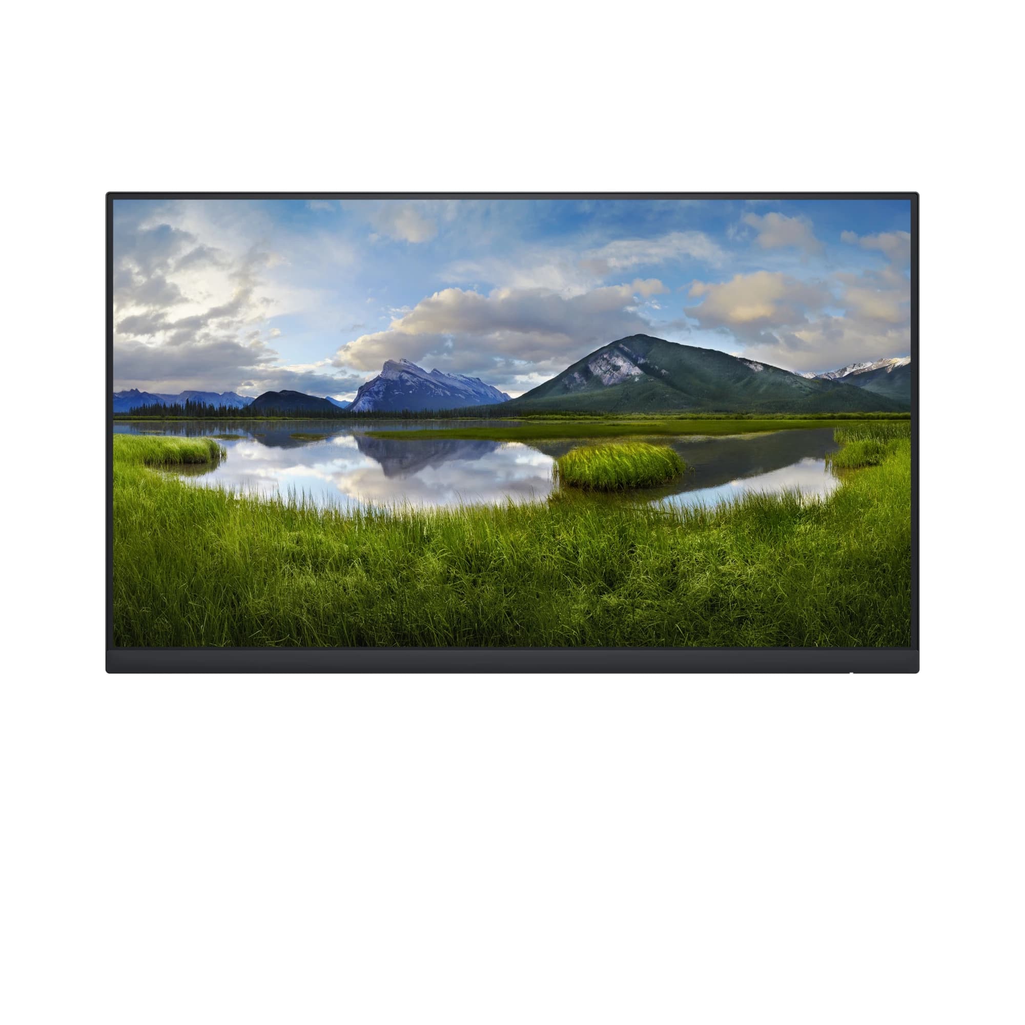 DELL P2422H_WOST 23.8" FHD