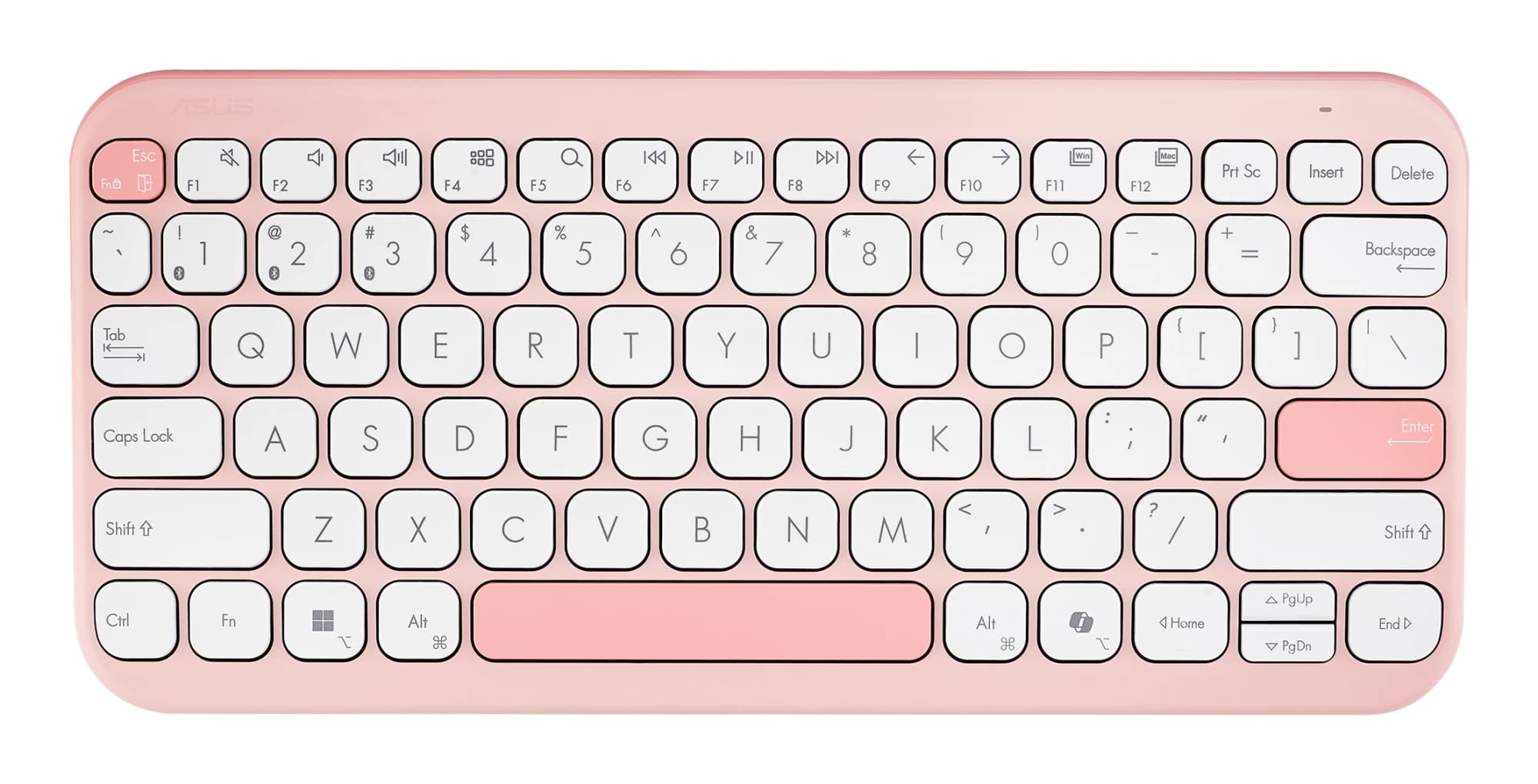 ASUS Marshmallow KW100 (Pink) DE