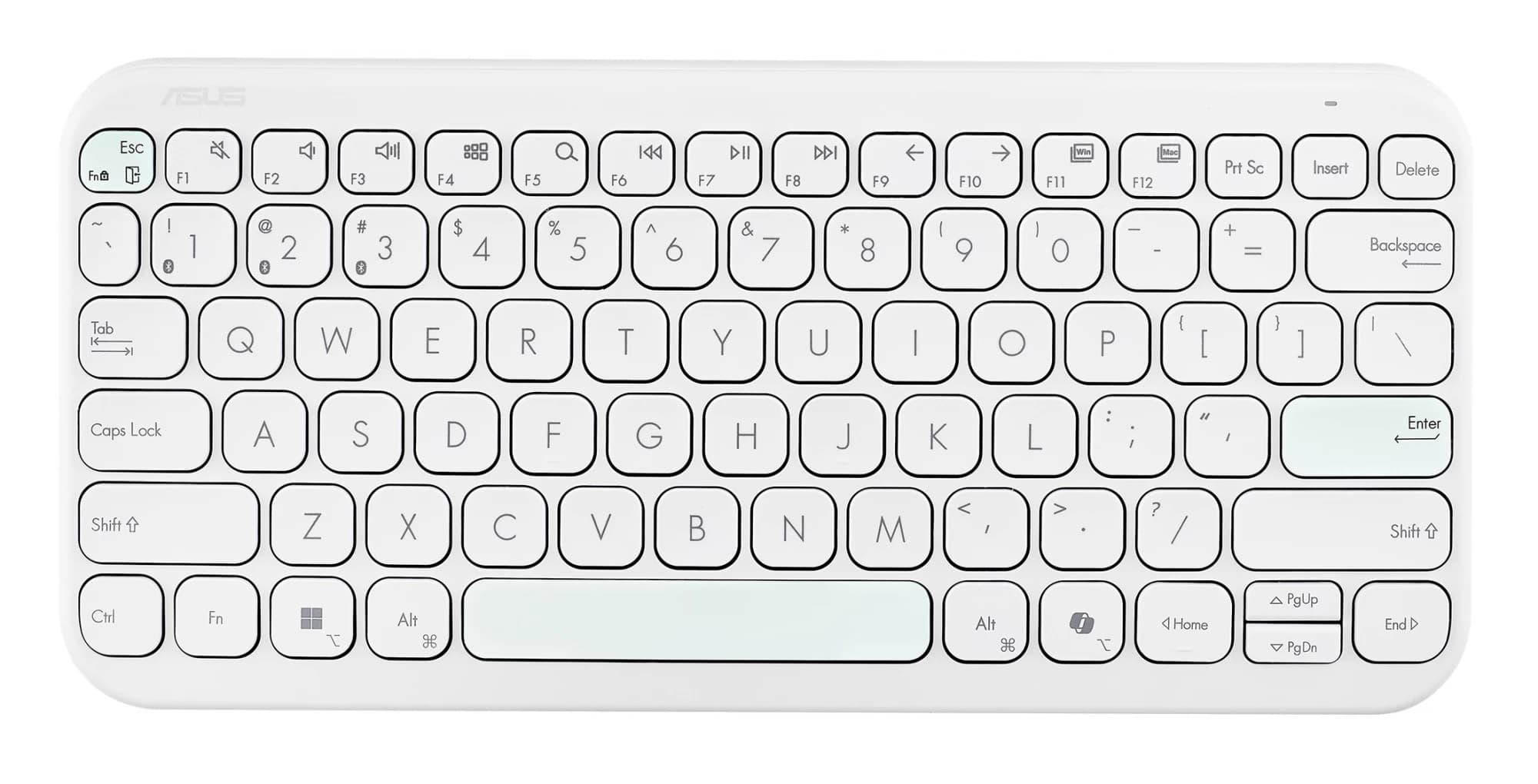 ASUS Marshmallow KW100 (White) DE