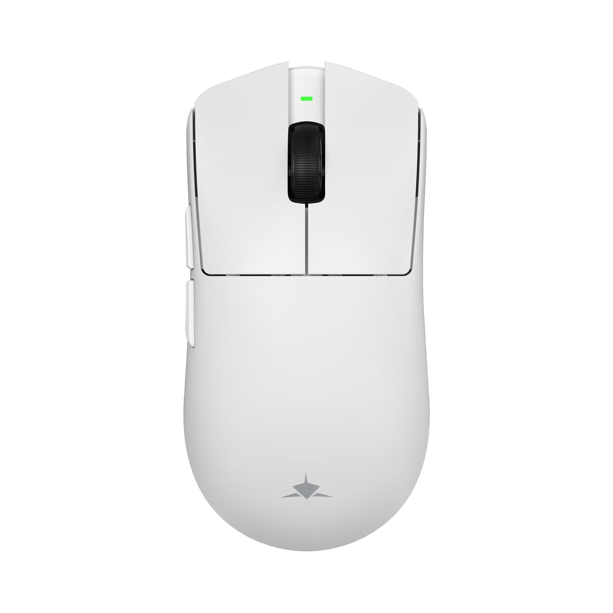 White Shark Agamemnon (White)