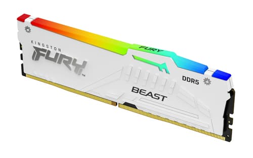 Kingston Technology FURY Beast RGB 1 x 32 GB 6000 MT/s 288-pin DIMM