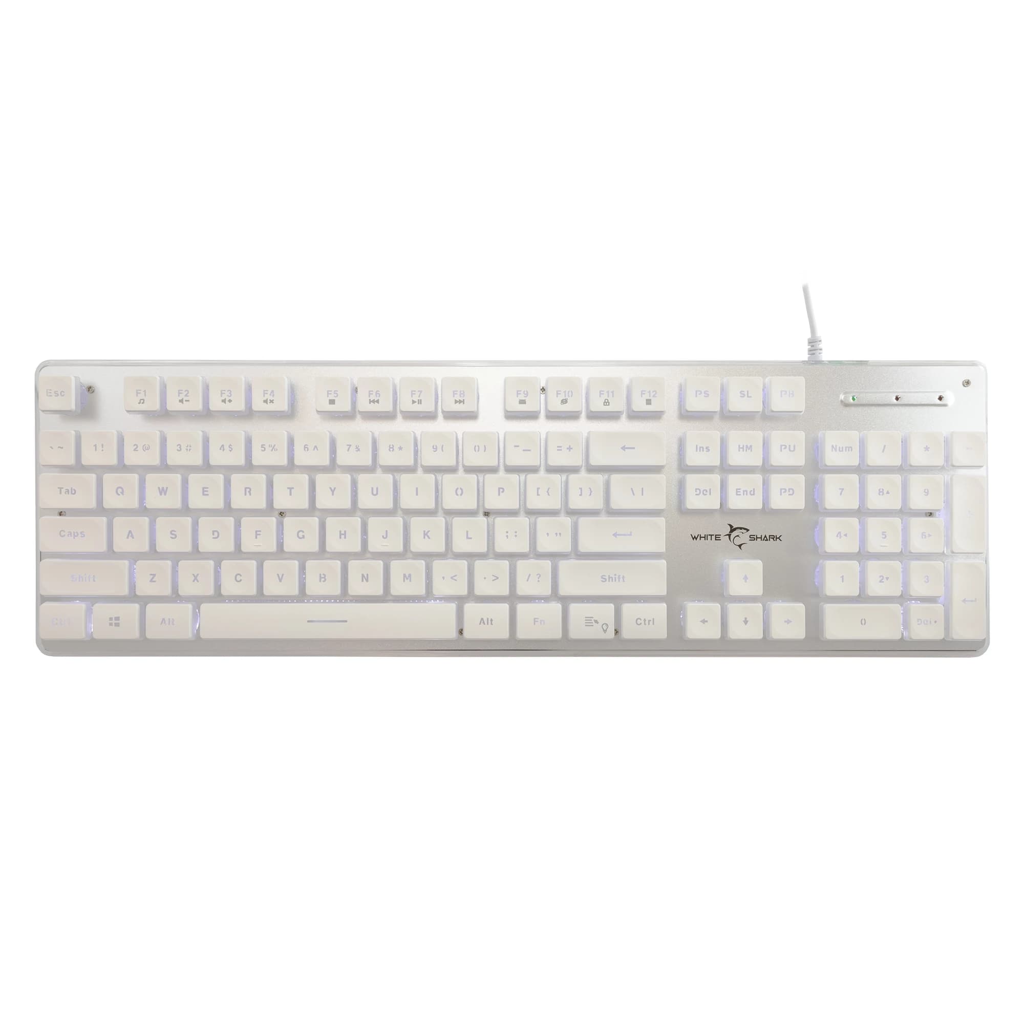 White Shark GK-003241 Tachi US (White)