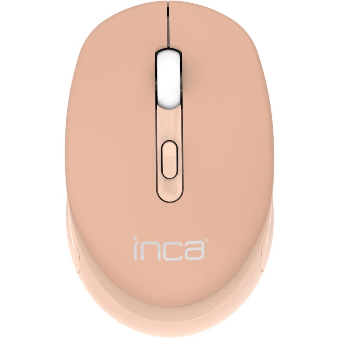 Inca IWM-243RH