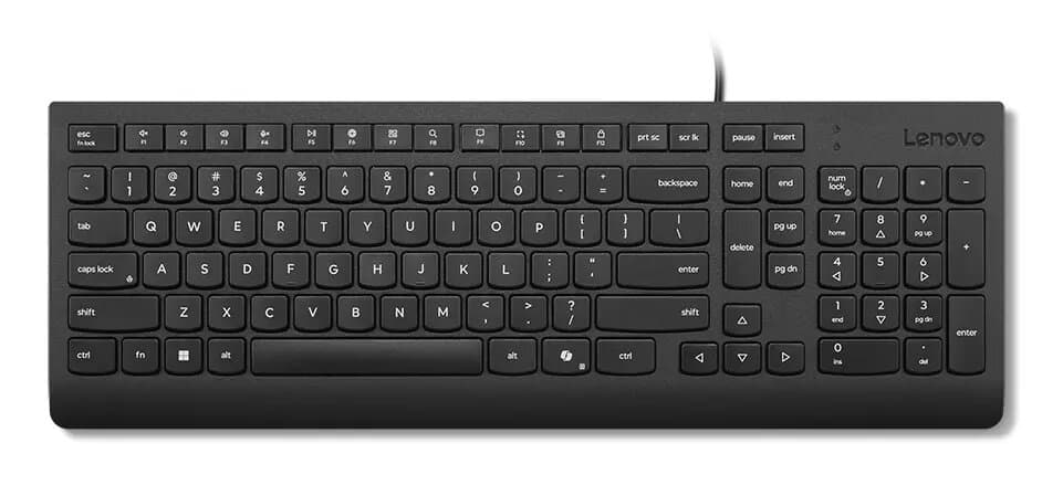Lenovo Essential Wired Keyboard US Euro (Copilot key)