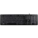 Accura Artesia Backlit USB (Black)