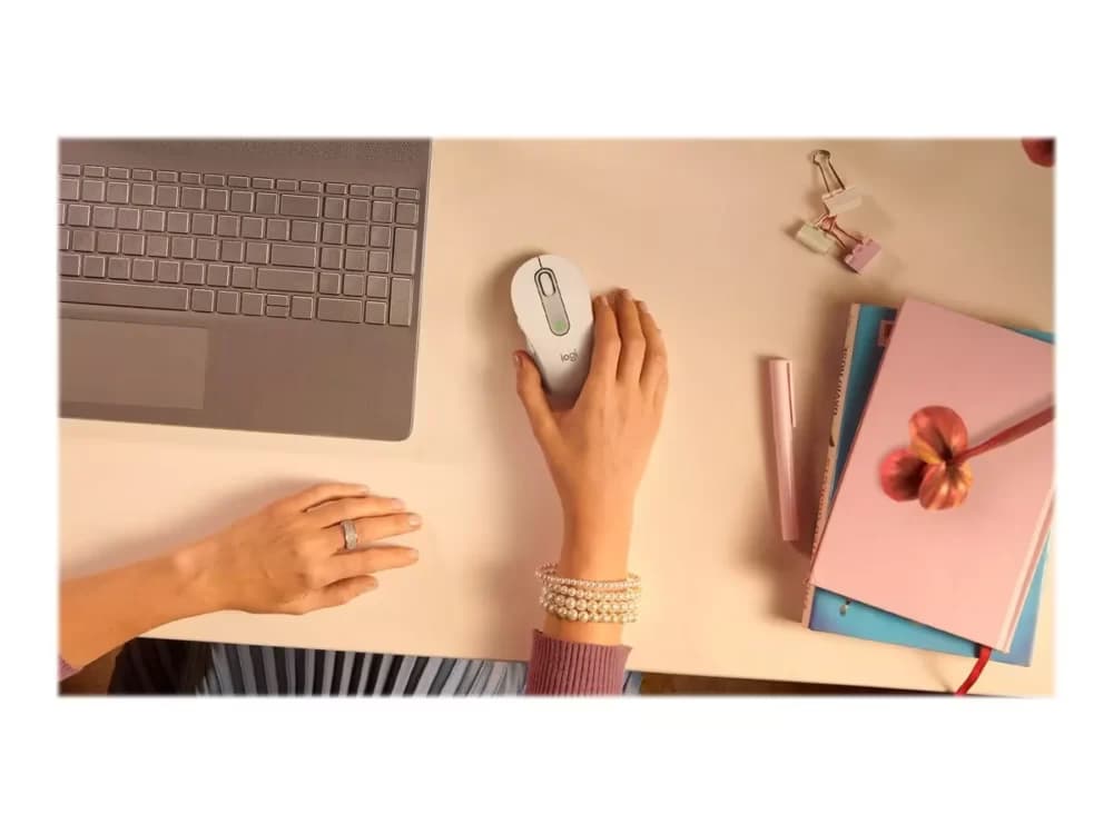 Logitech Signature M650 (v2)