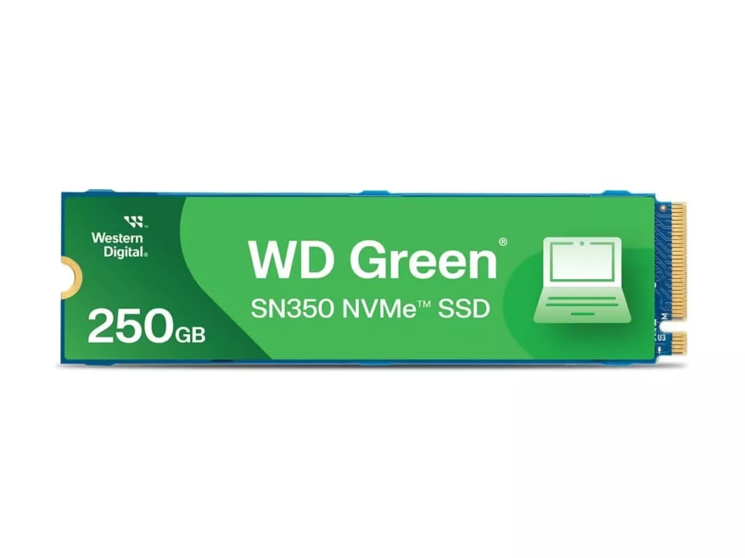 Western Digital 250GB WD Green SN350