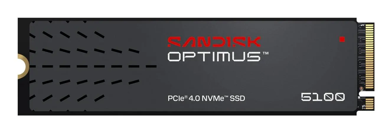 SanDisk 500GB diskas